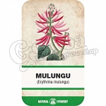 Mulungu - Erythrina mulungu (ground bark / powder)